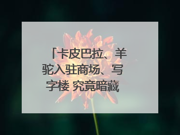 卡皮巴拉、羊驼入驻商场、写字楼 究竟暗藏哪些隐患？