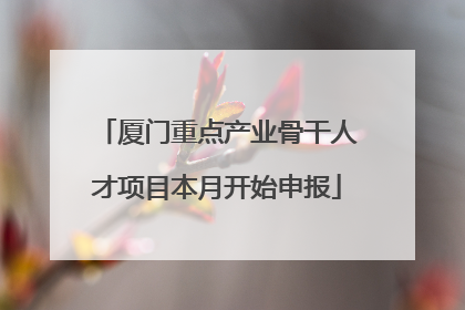 厦门重点产业骨干人才项目本月开始申报