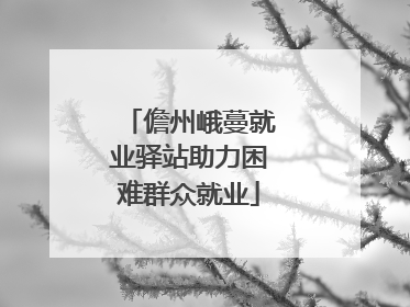 儋州峨蔓就业驿站助力困难群众就业