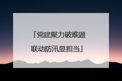 党建聚力破难题 联动防汛显担当