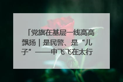党旗在基层一线高高飘扬｜是民警、是“儿子”——申飞飞在太行山中的一线坚守