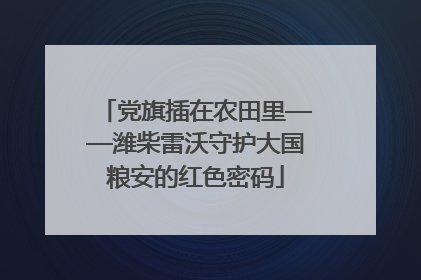 党旗插在农田里——潍柴雷沃守护大国粮安的红色密码