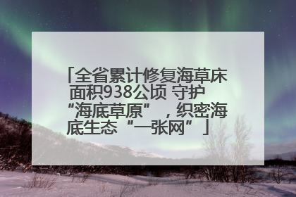 全省累计修复海草床面积938公顷 守护“海底草原”，织密海底生态“一张网”