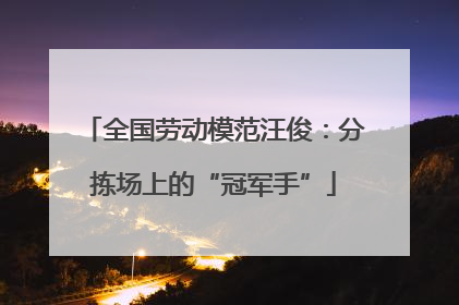 全国劳动模范汪俊：分拣场上的“冠军手”