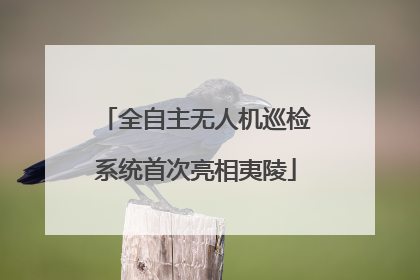 全自主无人机巡检系统首次亮相夷陵