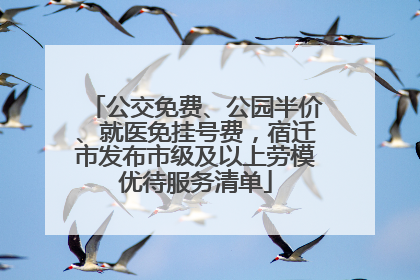 公交免费、公园半价、就医免挂号费，宿迁市发布市级及以上劳模优待服务清单