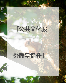 公共文化服务质量提升