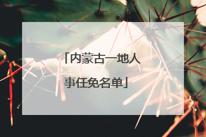 内蒙古一地人事任免名单