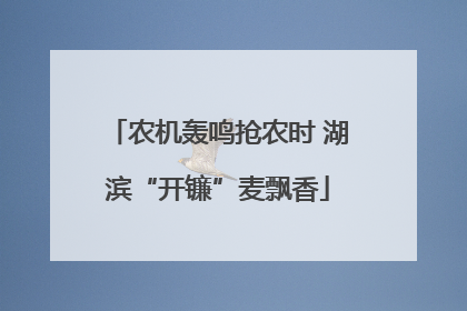 农机轰鸣抢农时 湖滨“开镰”麦飘香