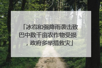 冰雹和强降雨袭击致巴中数千亩农作物受损，政府多举措救灾