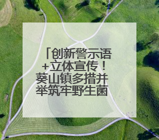 创新警示语+立体宣传！葵山镇多措并举筑牢野生菌中毒“防火墙”