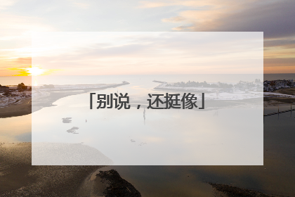 别说，还挺像