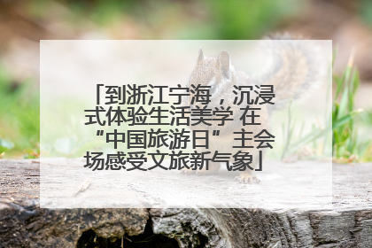 到浙江宁海，沉浸式体验生活美学 在“中国旅游日”主会场感受文旅新气象