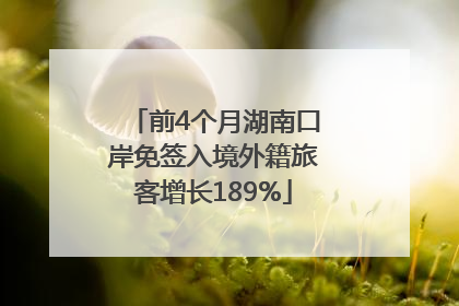 前4个月湖南口岸免签入境外籍旅客增长189%