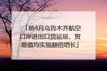 前4月乌鲁木齐航空口岸进出口货运量、贸易值均实现翻倍增长