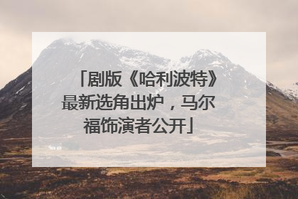 剧版《哈利波特》最新选角出炉，马尔福饰演者公开