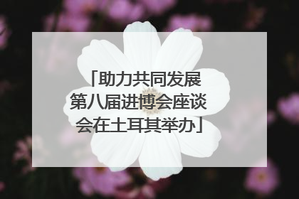 助力共同发展 第八届进博会座谈会在土耳其举办