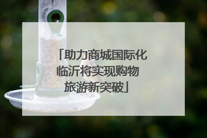 助力商城国际化 临沂将实现购物旅游新突破