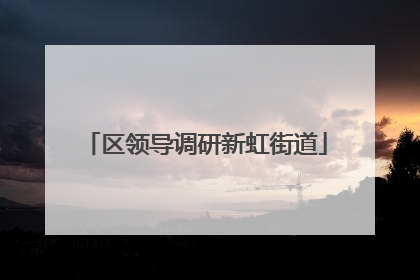 区领导调研新虹街道