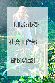 北京市委社会工作部部长调整