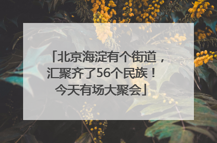 北京海淀有个街道，汇聚齐了56个民族！今天有场大聚会