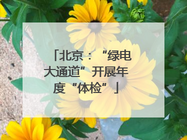 北京：“绿电大通道”开展年度“体检”