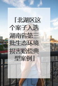 北湖区这个案子入选湖南省第三批生态环境损害赔偿典型案例