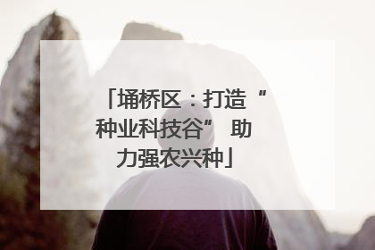埇桥区：打造“种业科技谷” 助力强农兴种