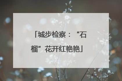 城步检察：“石榴”花开红艳艳