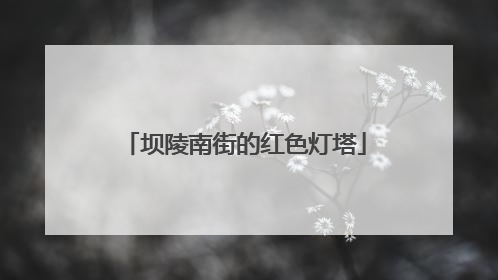 坝陵南街的红色灯塔