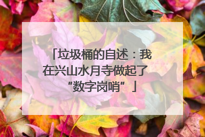垃圾桶的自述：我在兴山水月寺做起了“数字岗哨”