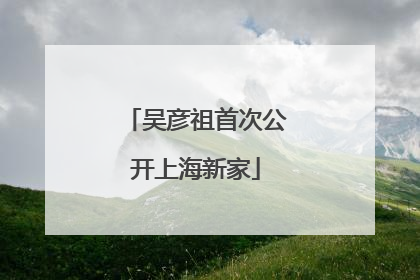 吴彦祖首次公开上海新家
