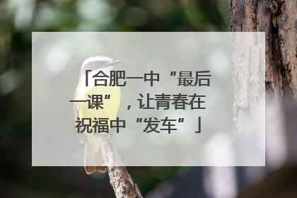 合肥一中“最后一课”，让青春在祝福中“发车”