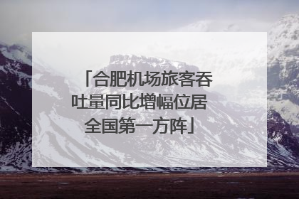 合肥机场旅客吞吐量同比增幅位居全国第一方阵