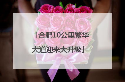 合肥10公里繁华大道迎来大升级