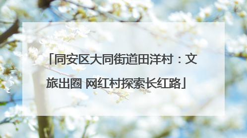 同安区大同街道田洋村：文旅出圈 网红村探索长红路
