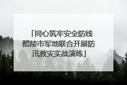 同心筑牢安全防线 醴陵市军地联合开展防汛救灾实战演练