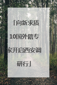 向新求质 10国外籍专家开启西安调研行