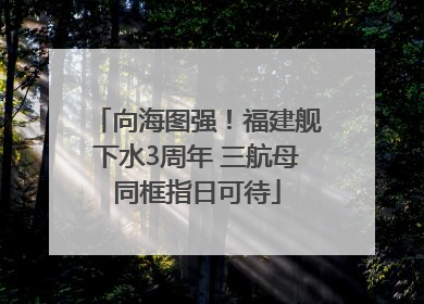向海图强！福建舰下水3周年 三航母同框指日可待