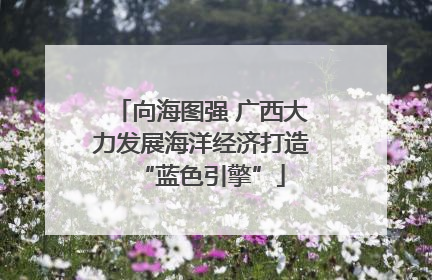 向海图强 广西大力发展海洋经济打造“蓝色引擎”