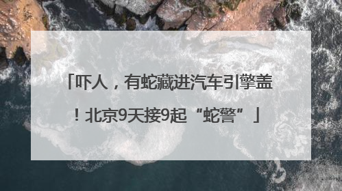 吓人，有蛇藏进汽车引擎盖！北京9天接9起“蛇警”