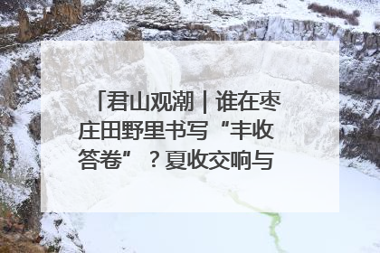 君山观潮｜谁在枣庄田野里书写“丰收答卷”？夏收交响与特色产业，共绘乡村振兴新图景