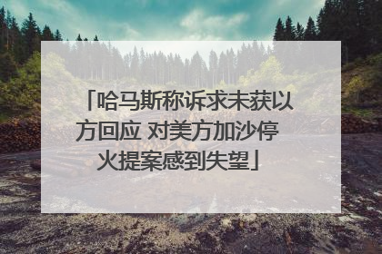 哈马斯称诉求未获以方回应 对美方加沙停火提案感到失望