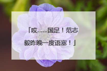哎……国足！范志毅昨晚一度语塞！