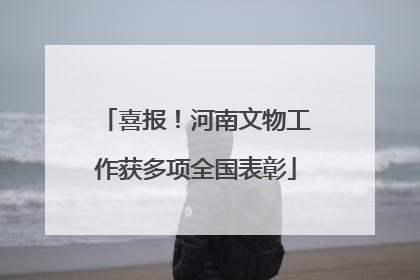 喜报！河南文物工作获多项全国表彰
