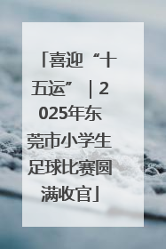 喜迎“十五运”｜2025年东莞市小学生足球比赛圆满收官