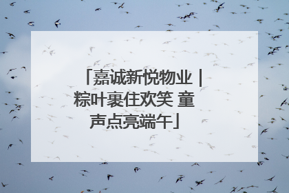 嘉诚新悦物业｜粽叶裹住欢笑 童声点亮端午