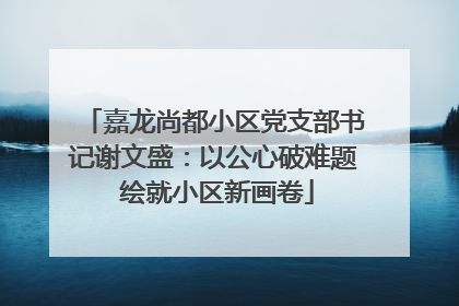 嘉龙尚都小区党支部书记谢文盛：以公心破难题 绘就小区新画卷