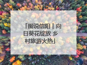 图说信阳｜向日葵花绽放 乡村旅游火热