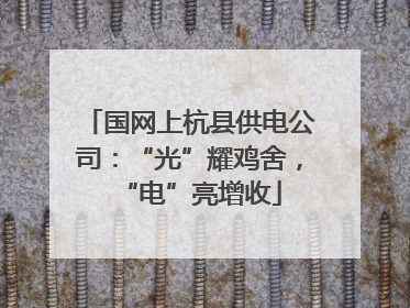 国网上杭县供电公司：“光”耀鸡舍，“电”亮增收